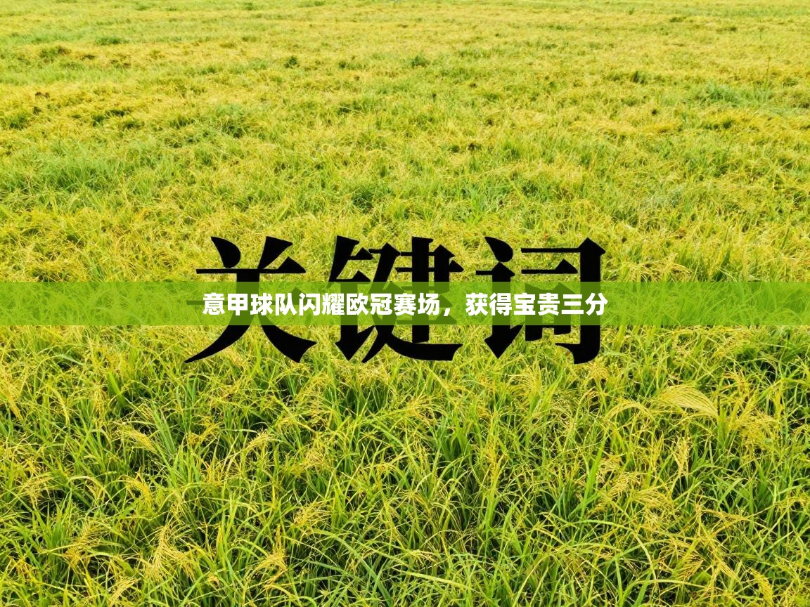 意甲球队闪耀欧冠赛场，获得宝贵三分  第1张