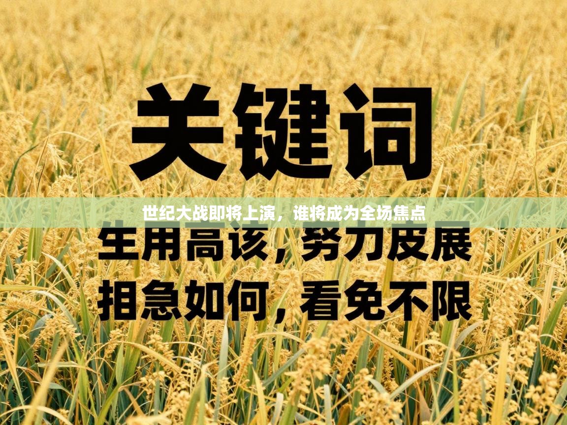 世纪大战即将上演，谁将成为全场焦点  第2张